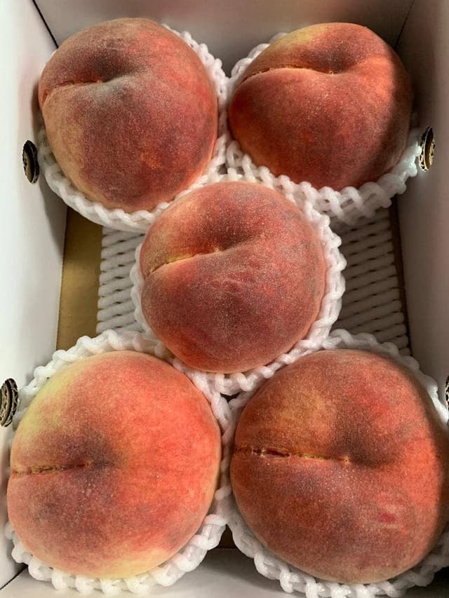 山彦 - サブ画像2