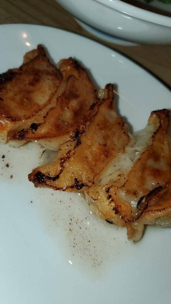 岡山餃子製作所 駅前町店