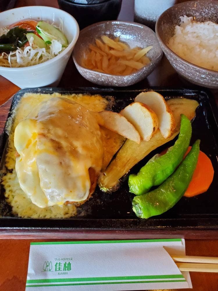 ヴィレッジハウス佳林