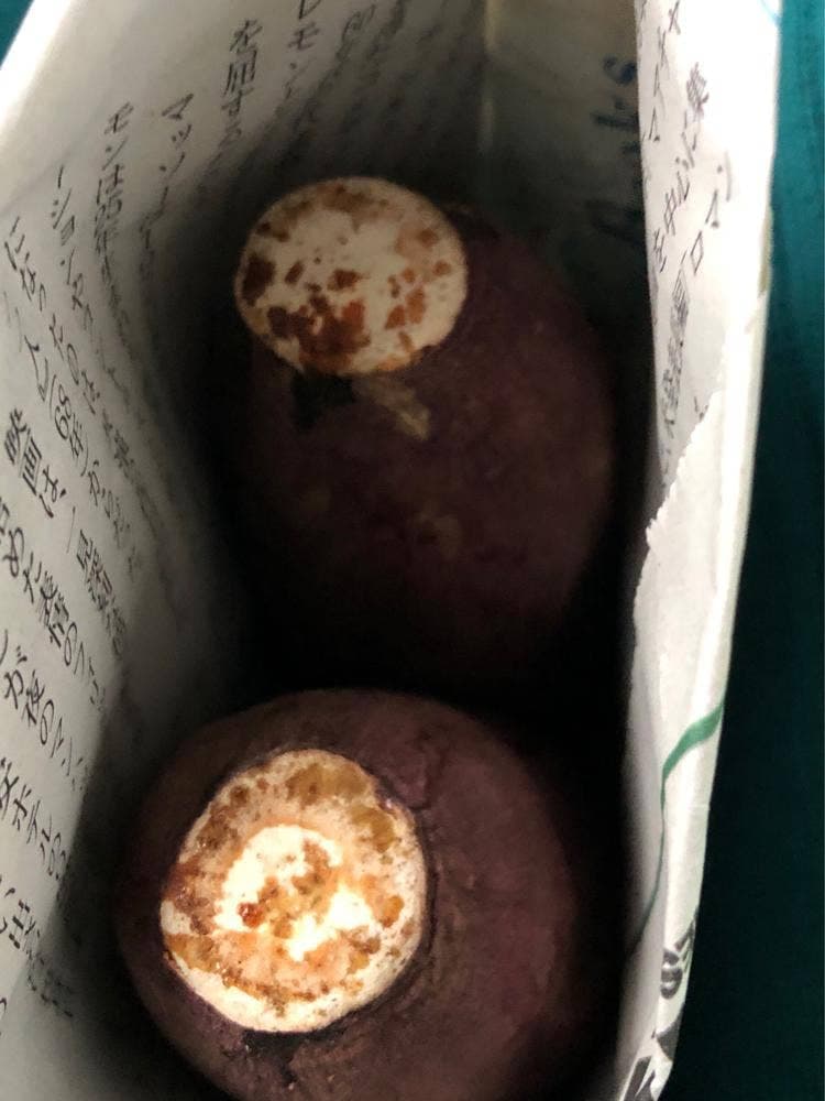 かくたに芋工房