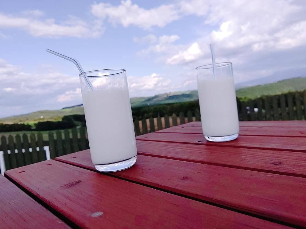 CAFE TREE TERRACE