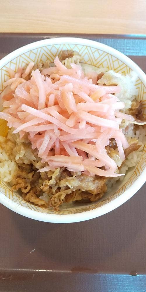 すき家 加古川平岡町店