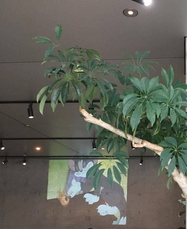 ONE CAFE! - サブ画像2