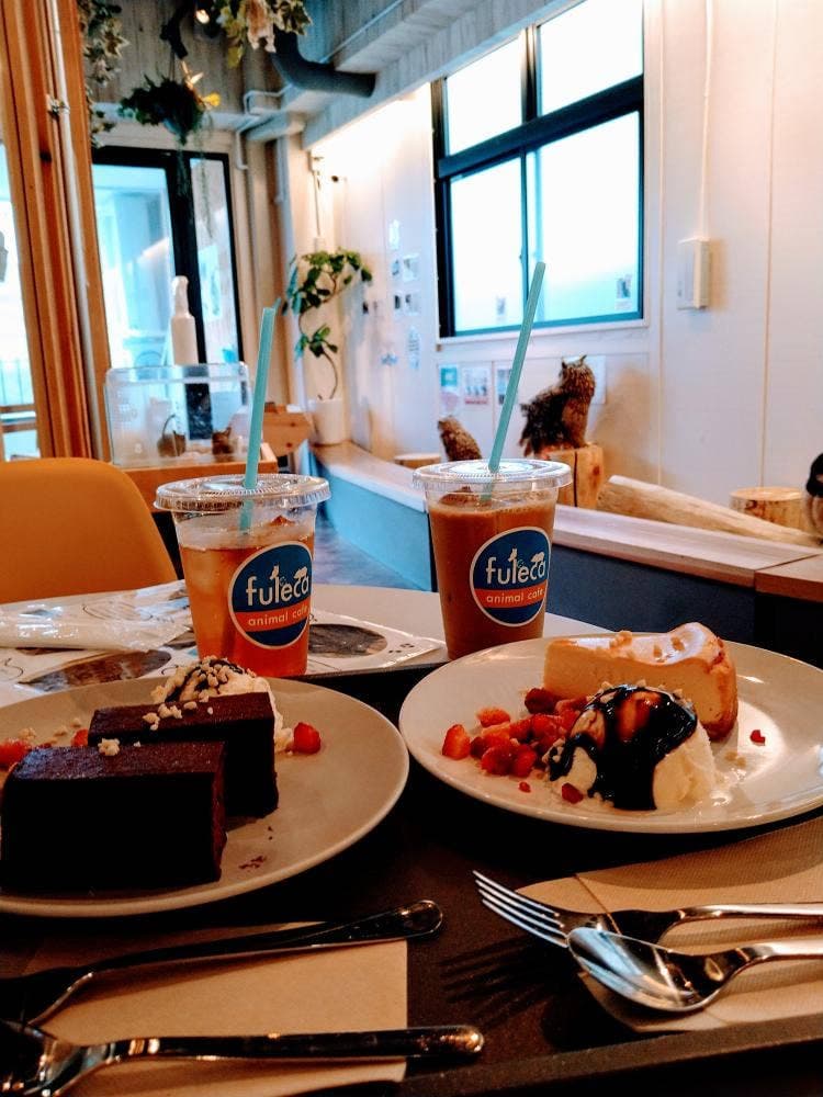 小動物カフェ フレカ