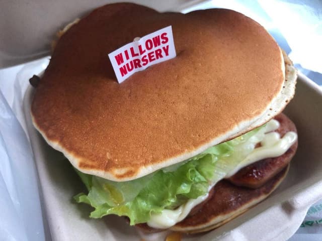WILLOWS NURSERY - サブ画像2
