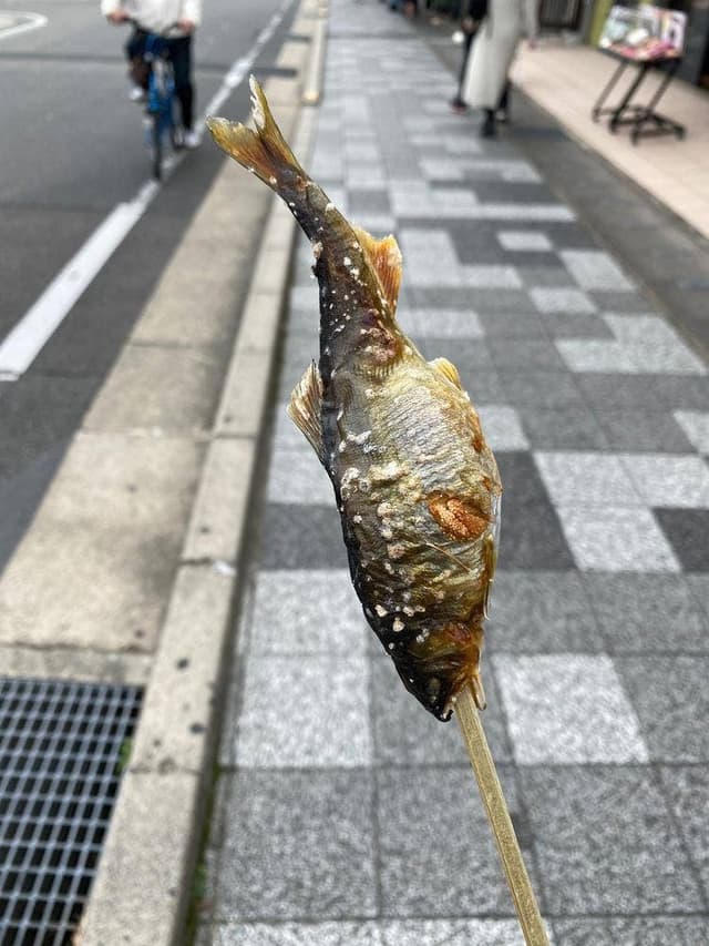 高級川魚・地鶏 嵐山たなか - サブ画像1