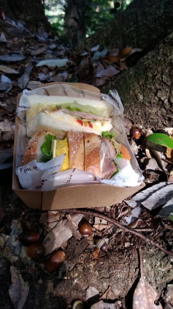 ドンクエディテ ミウィ橋本店 - サブ画像3