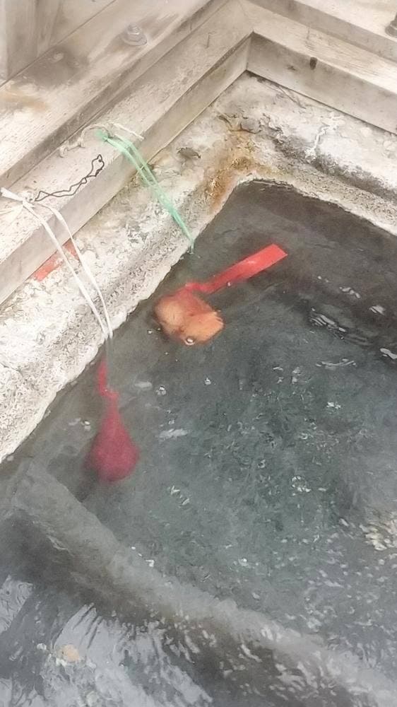 Vショップ 湯の峯温泉店 - サブ画像2