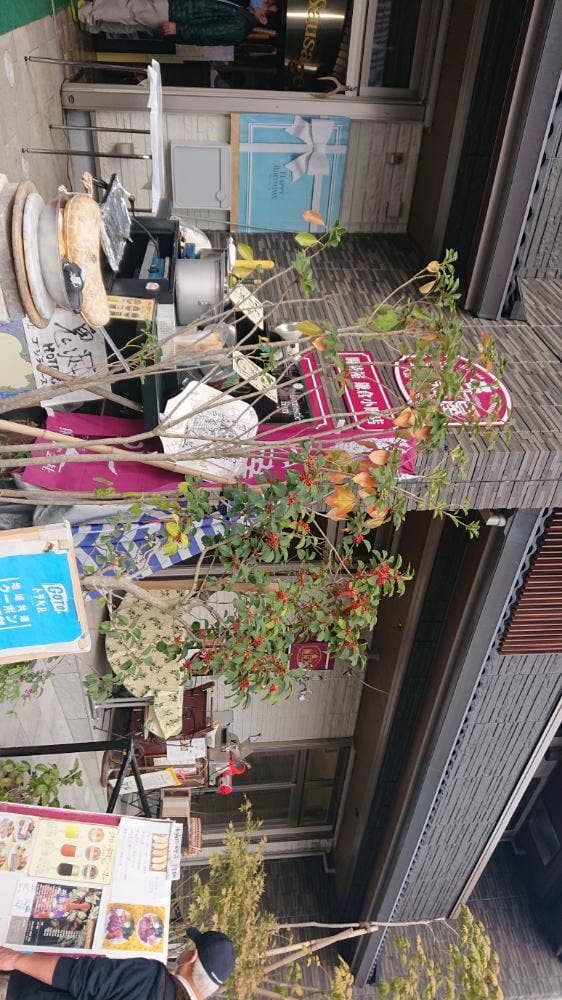 腸詰屋 八幡宮前店
