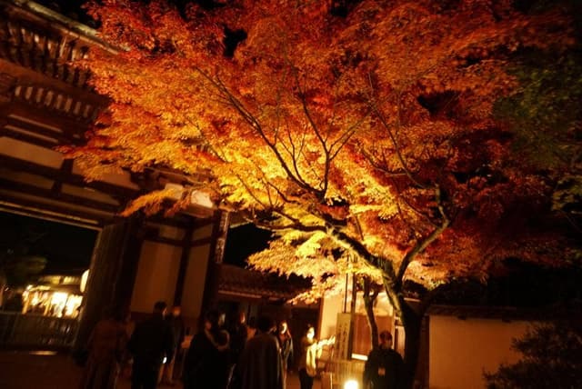 近江もーれつや ほたるの里 石山寺寺前浪漫店 - サブ画像3