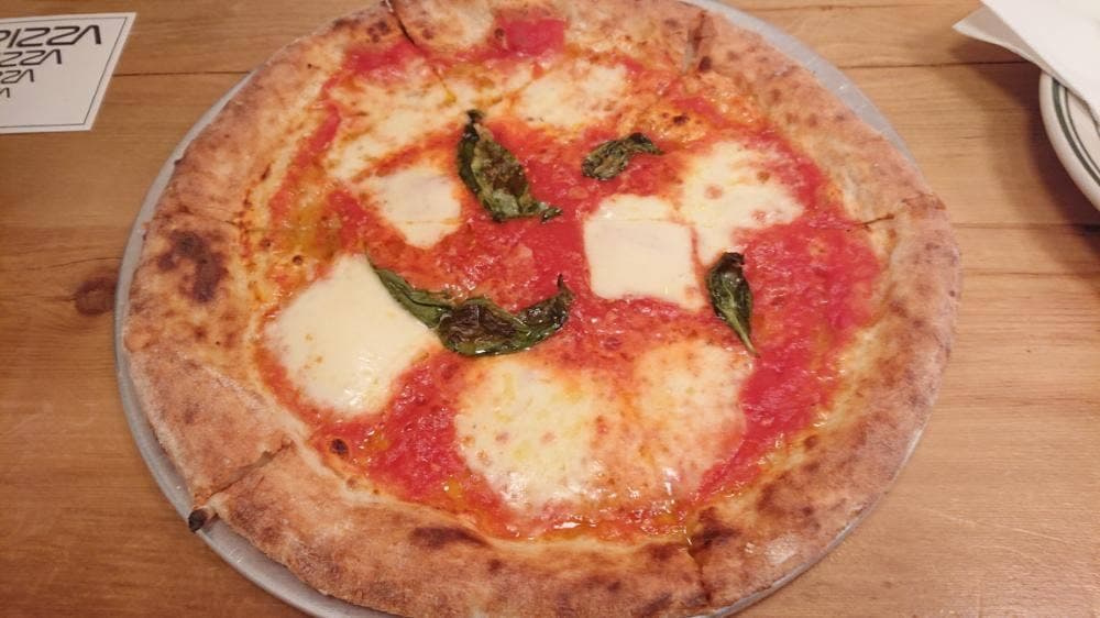 CRITTERS PIZZA