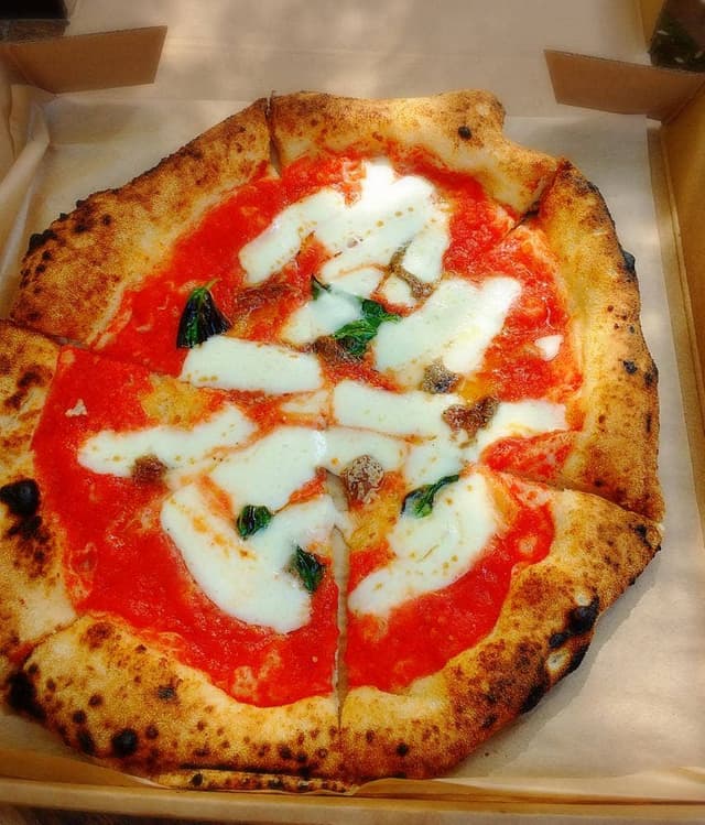 SELVAGGIO - サブ画像2