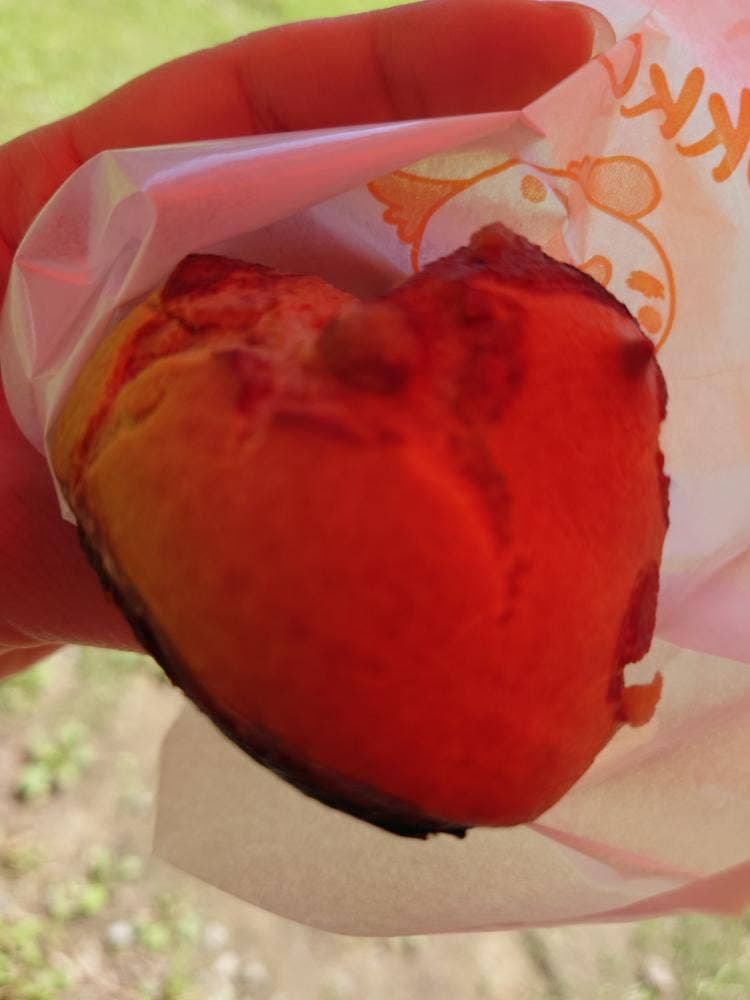 みなみくんの卵 こっこ家