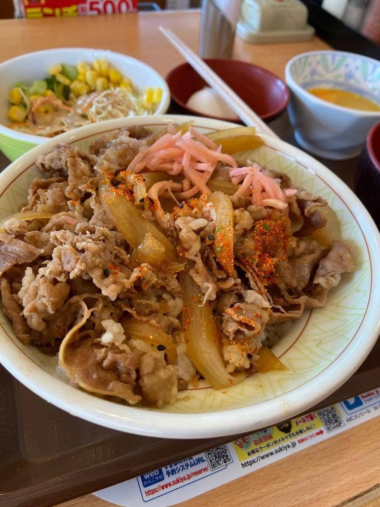 すき家 235号静内店