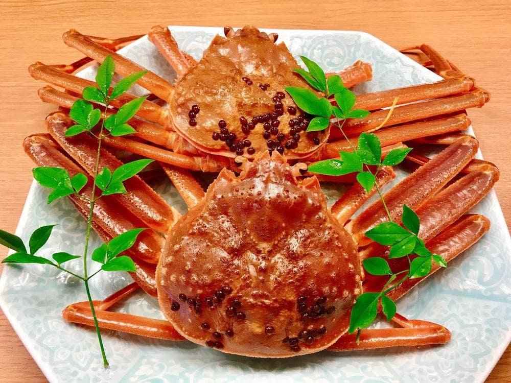 郷土料理 福井地酒 はやし