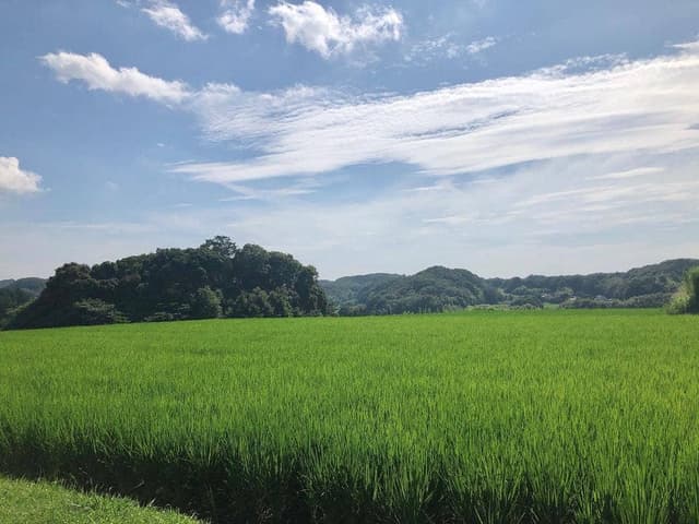 ピザレストラン 西山牧場 - サブ画像3