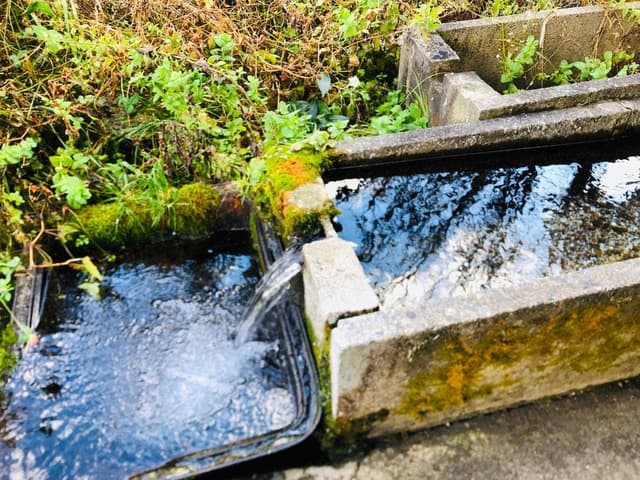 川瀬 - サブ画像3