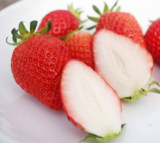 多度グリーンファーム - サブ画像2