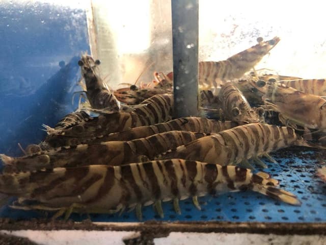 魚貝料理 丸誠 - サブ画像1