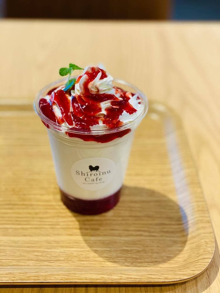 Shiroinu Cafe 柏の葉 T-SITE