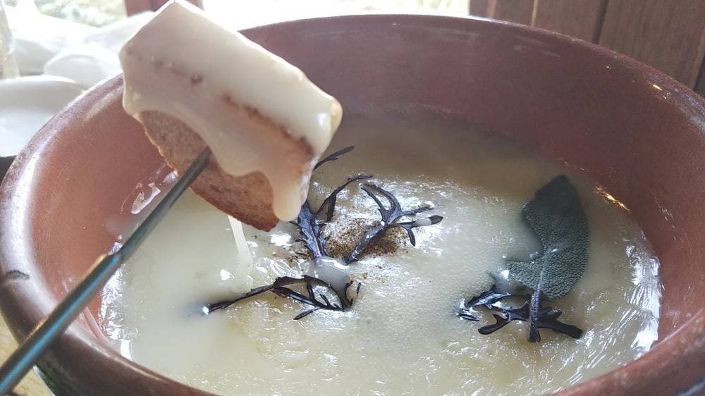 チーズハウス ヤルゴイ