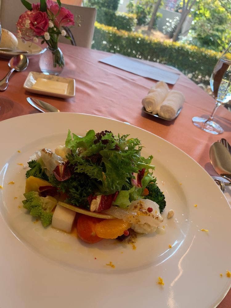 ヴィオレット・ステラ