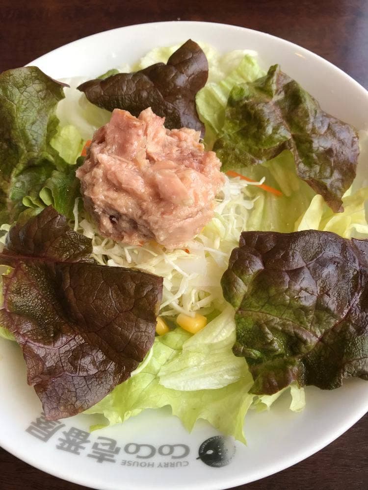 カレーハウスCoCo壱番屋 千葉佐原店