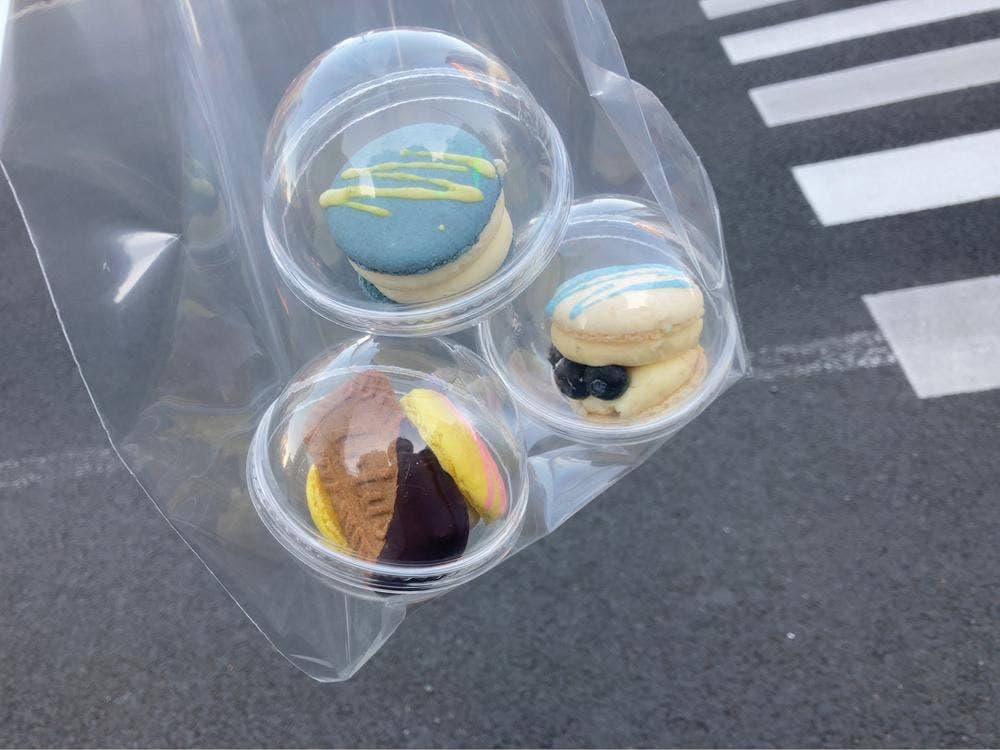 THE ROOFTOP E GARDEN