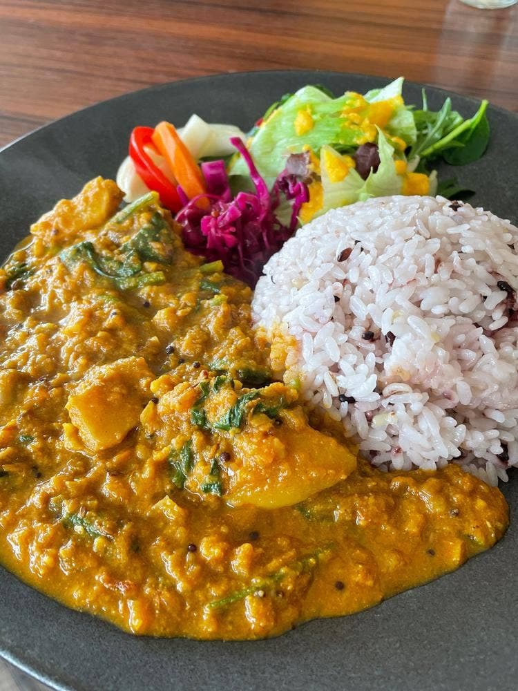 THE HILLS HOUSE TSUYAMA Farble