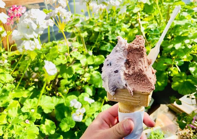 gelateria popolo. - サブ画像2