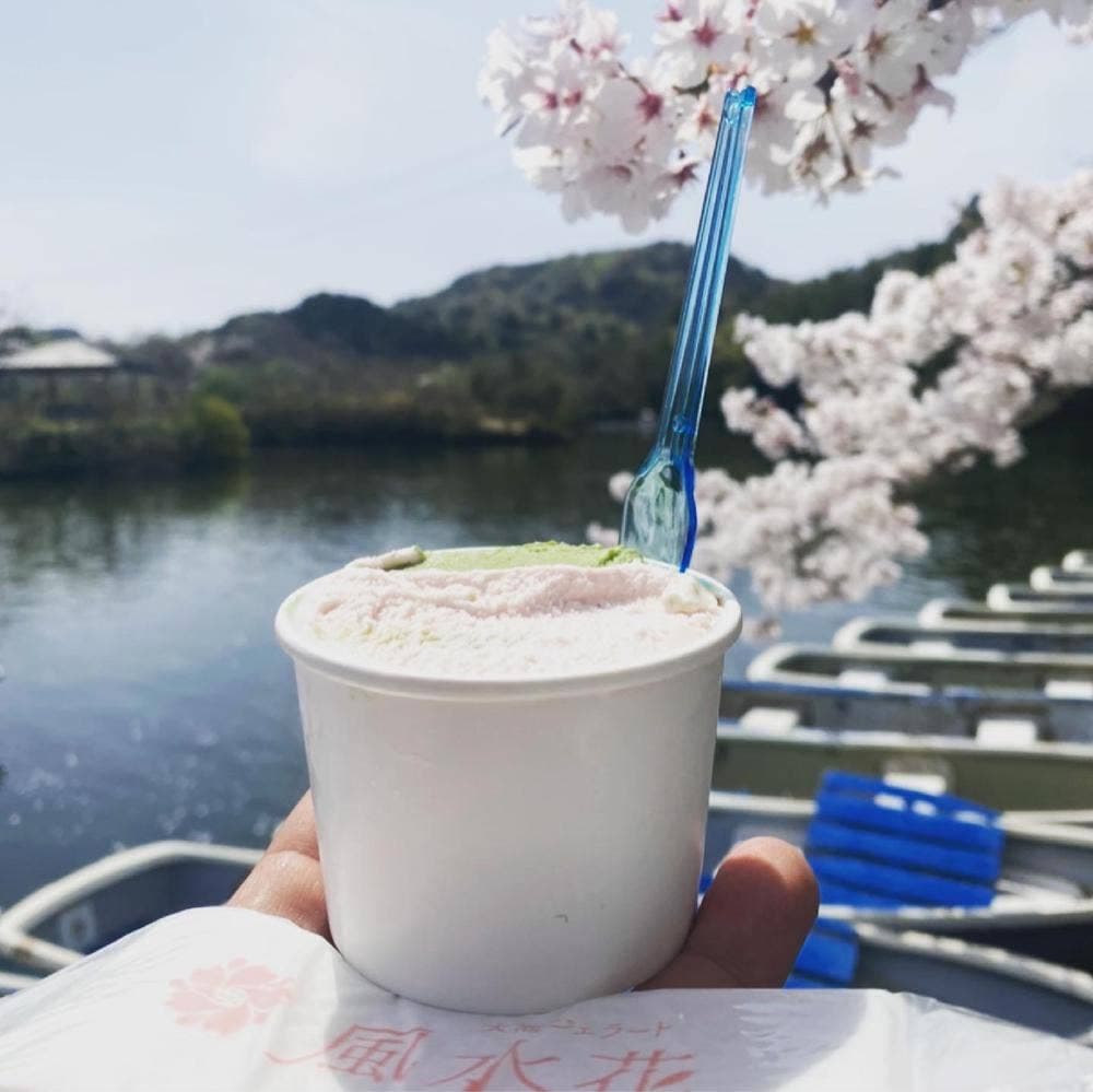 大池ジェラート 風水花