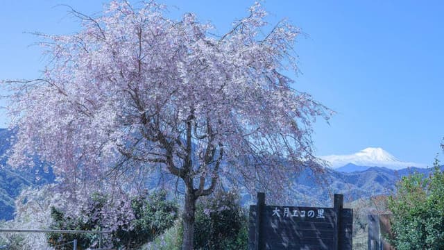 大月エコの里 - サブ画像1