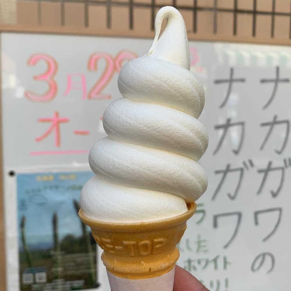 ナカガワのナカガワ
