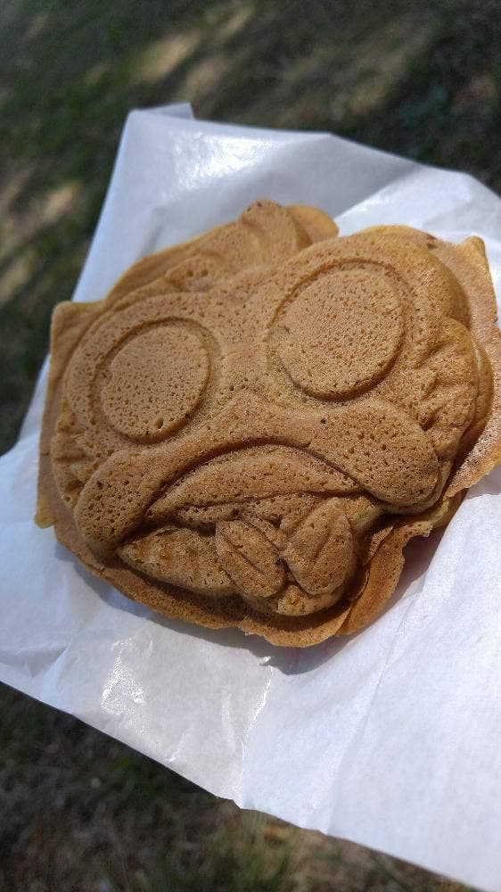 桝屋きんとき