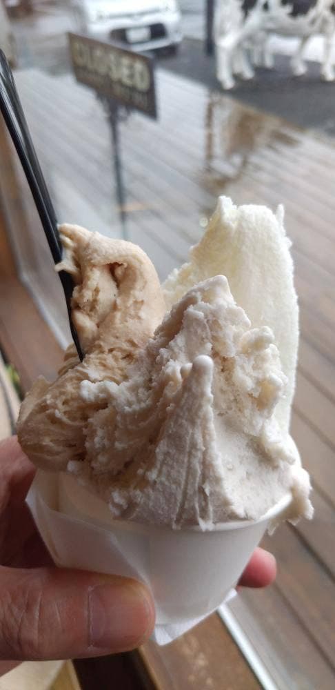 ジェラテリア ジェラボ - サブ画像2