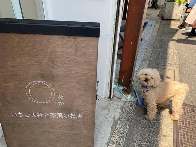 いちご大福と茶菓のお店 あか - サブ画像2