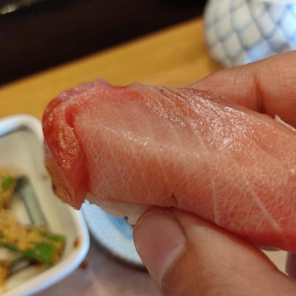 梅の鮨
