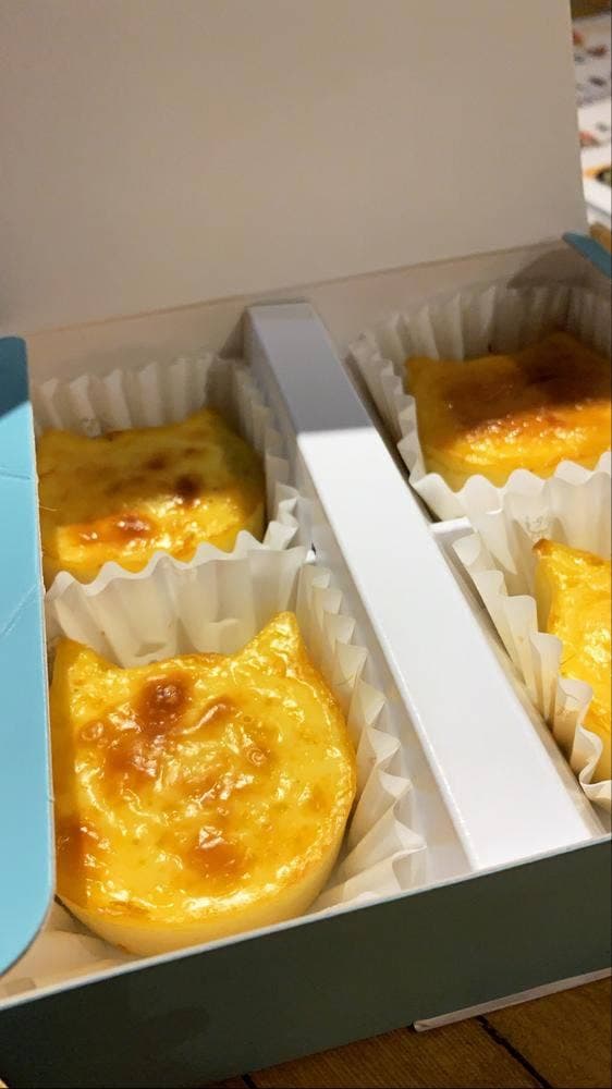 ねこねこチーズケーキ 本厚木ミロード店