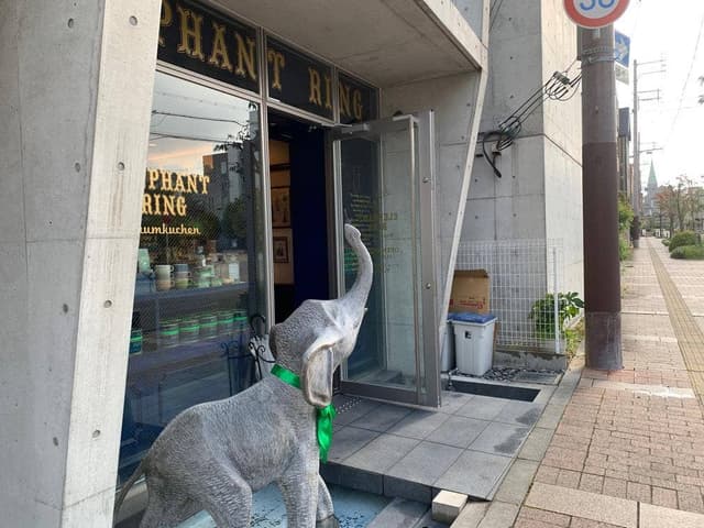 ELEPHANT RING - サブ画像2