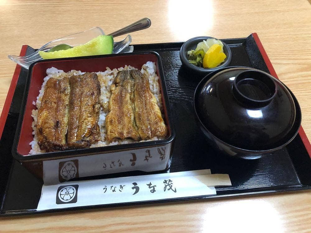 うな茂