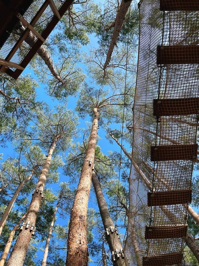 富士すばるランド - サブ画像3