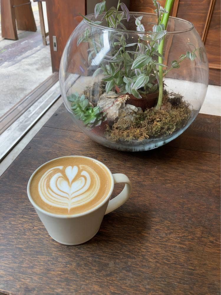 Saladday COFFEE