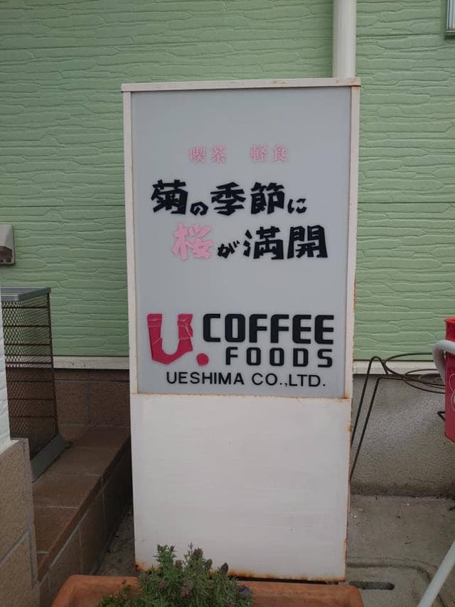 菊の季節に桜が満開 - サブ画像1
