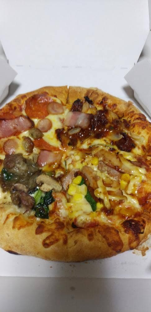 ドミノ・ピザ 札幌北15条店