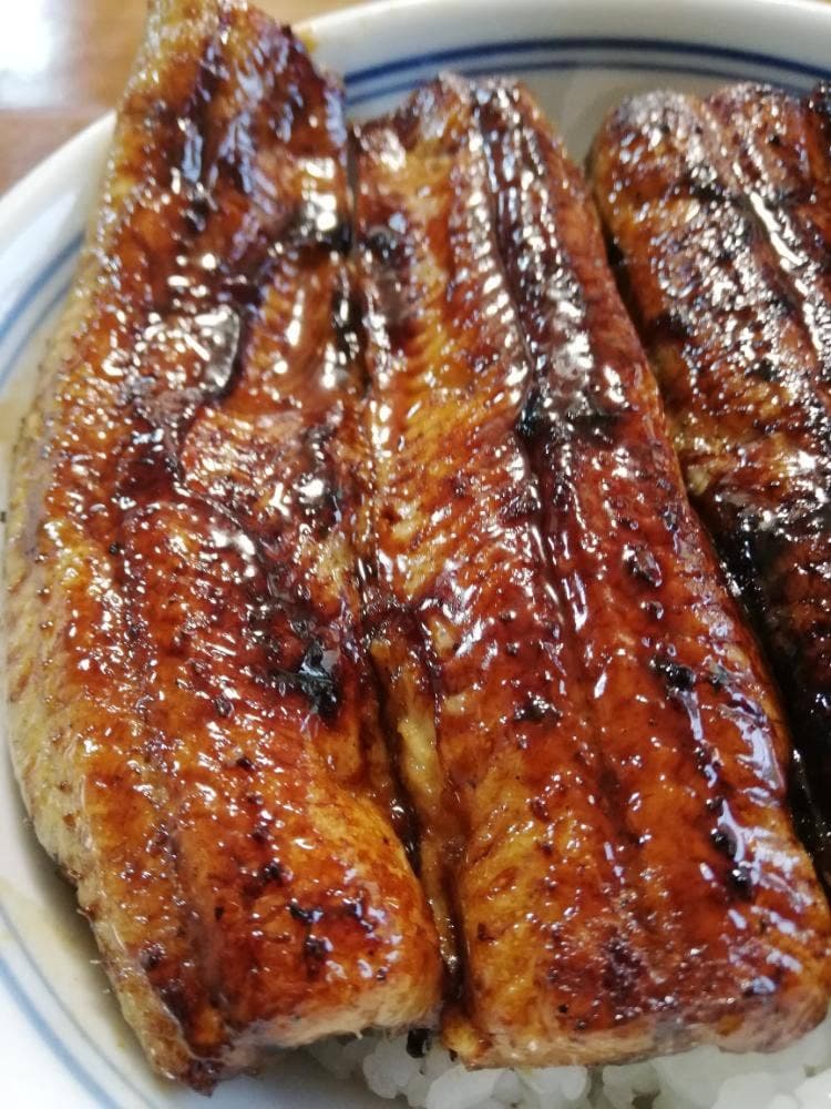 うなぎ処 かゞ井