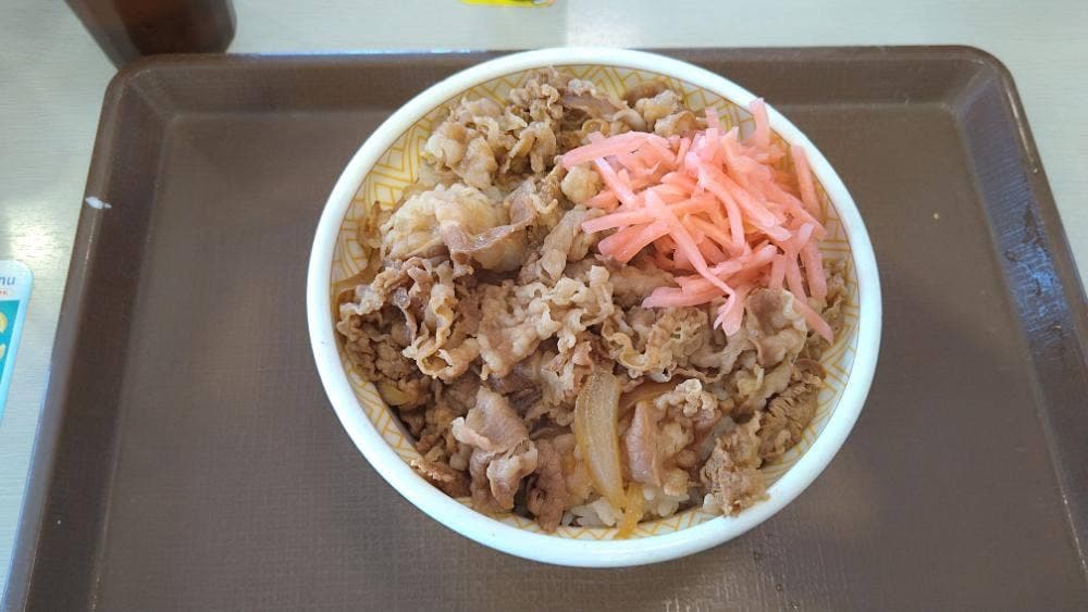 すき家 中百舌鳥店