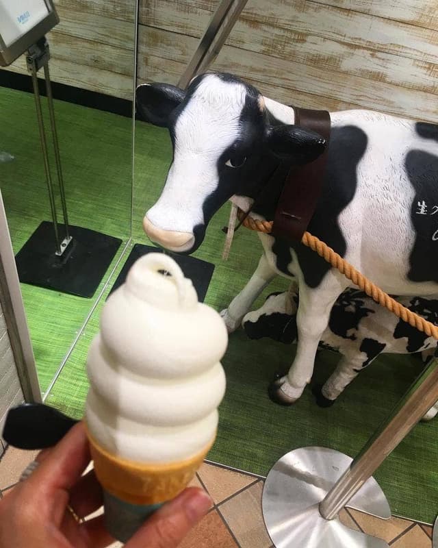 生クリーム専門店ミルク 立川店 - サブ画像1