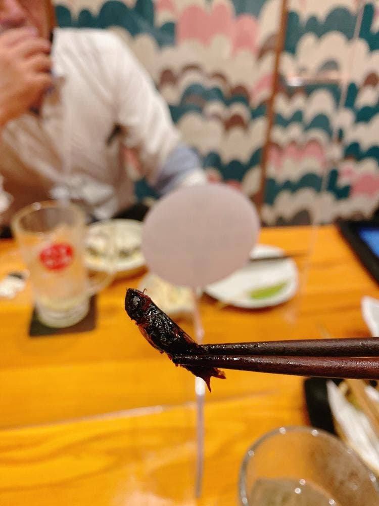 鶴亀