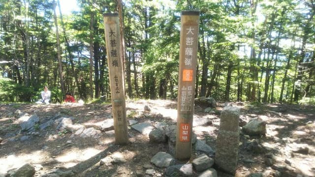 大菩薩峠 介山荘 - サブ画像1