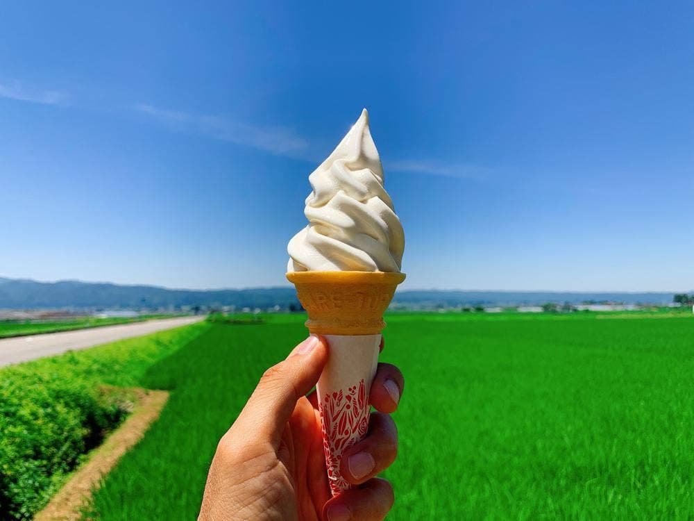 豆の子